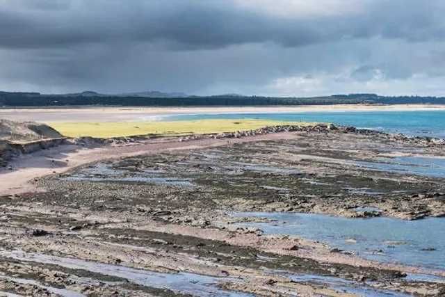 Winterfield Golf Club