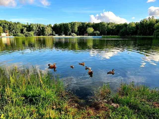 Pervyy Putyayevskiy Prud