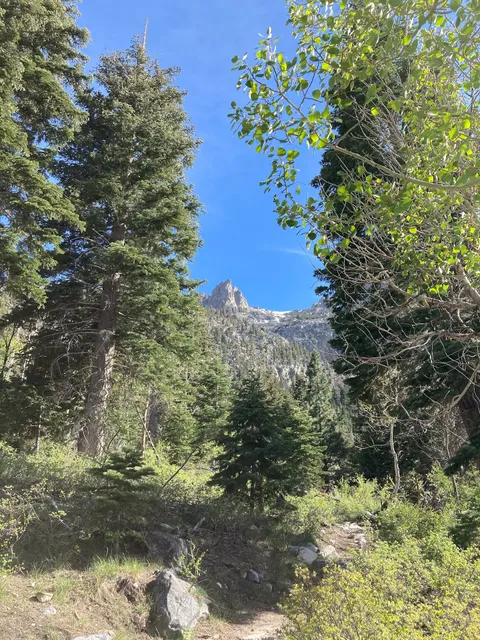 Yost Creek Trailhead