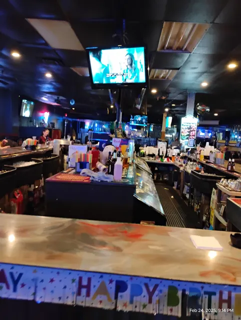 Don quixotes / the donkey