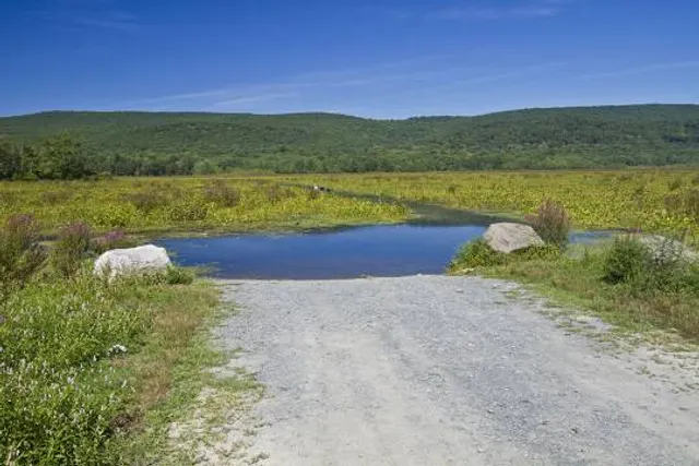 Basha Kill Wildlife Refuge
