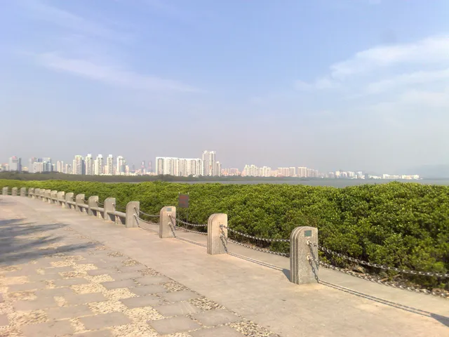 Mangrove Lin Haibin Park