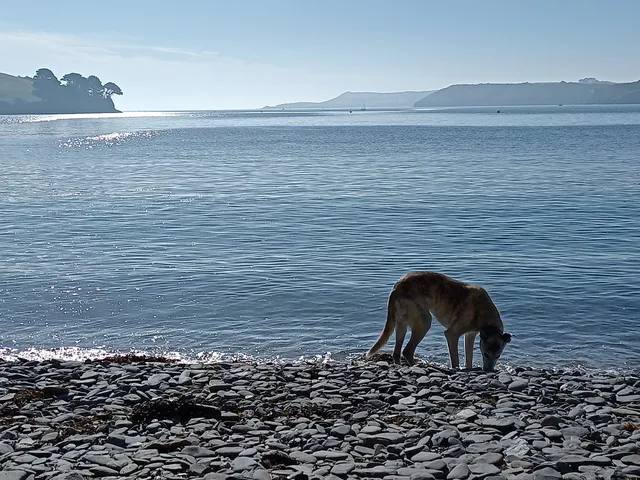 National Trust - Bosveal