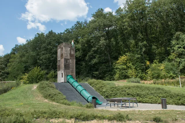 Katalinpusztai hangyavasút