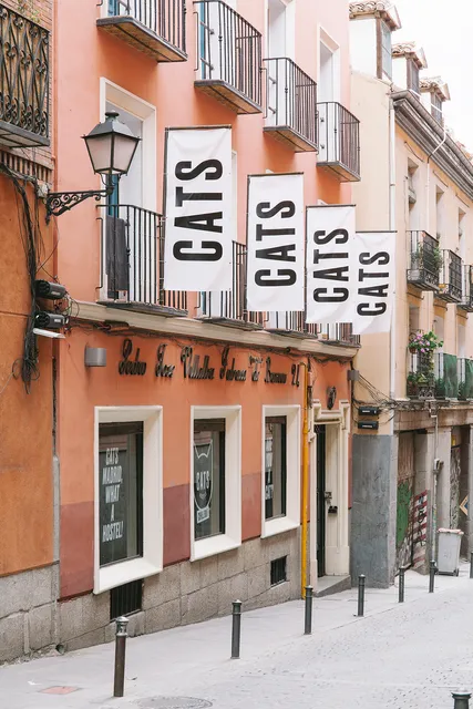 CATS Chill Out Hostel