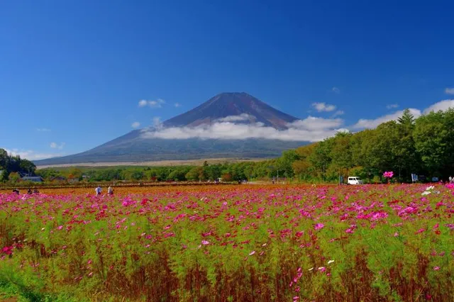 Yamanakako Hananomiyako Park