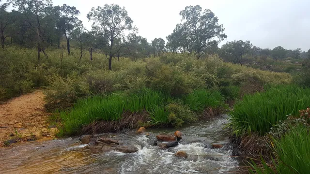 Wandoo Heights Nature Reserve