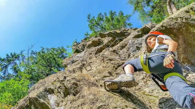 Vasalt Utak Tatabánya