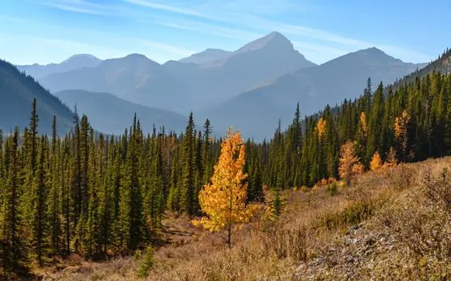 Bluerock Wildland Provincial Park