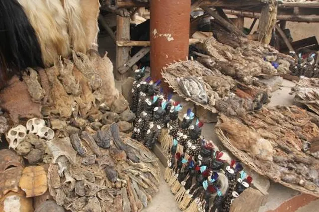 Akodessewa Fetish Market