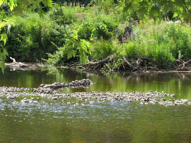 Alan E. Rich Environmental Park