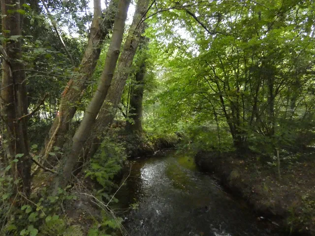 Knuppelpad-plankenpad Bosbeekvallei