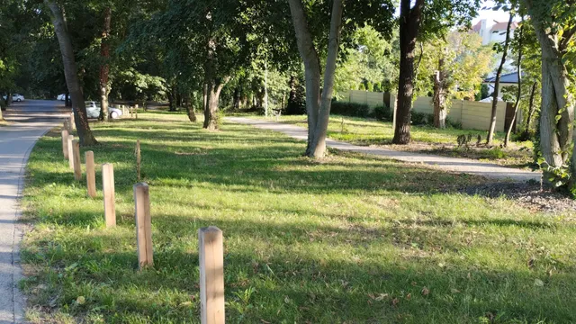 photo-2
