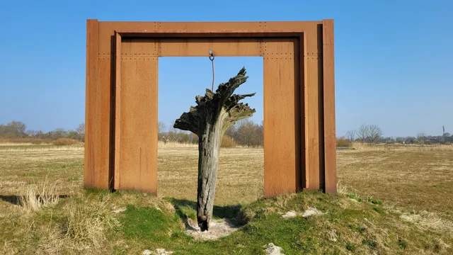 Scheuerpfahl Mooreiche