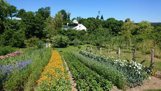 Mandelmann's Gardens