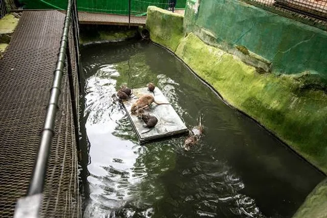 photo-2