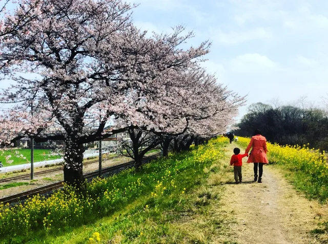 Arakawa Oaso Park