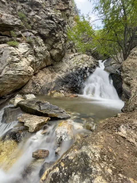 Deuel Creek South Trailhead