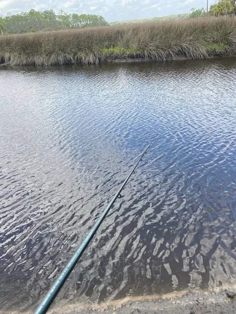 Princess Place Preserve