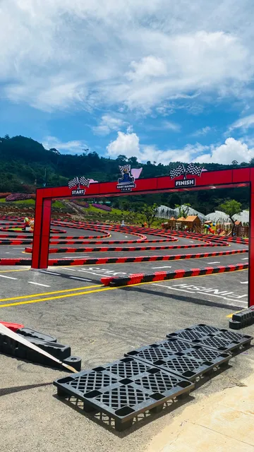 KDL Rừng Thông Núi Voi - Elephant Mountain Pine Forest