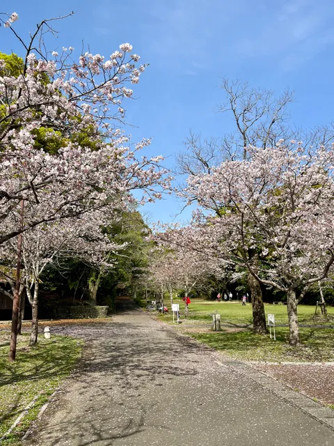 Tenjinyama Park