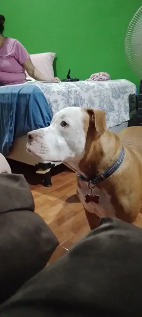 Pupuseria Bendicion De Dios