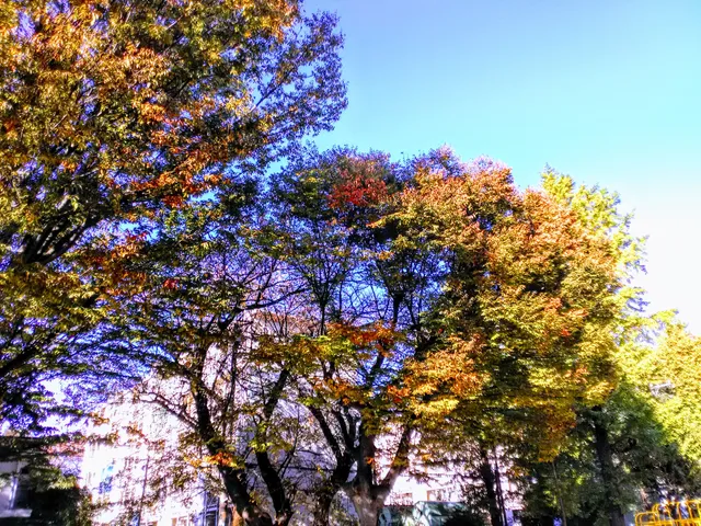photo-1