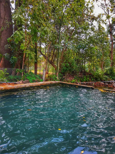 El Abanico (Pozas de agua)