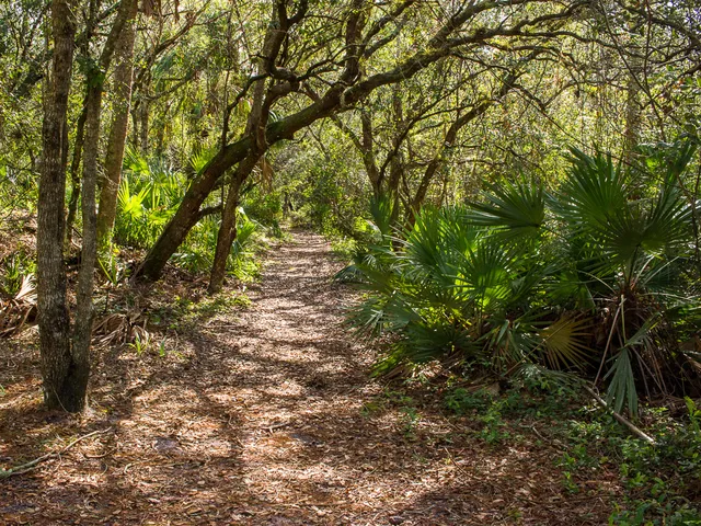 Halpatiokee Regional Park