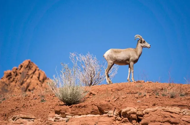 Talampaya - Patrimonio de la Humanidad National Park