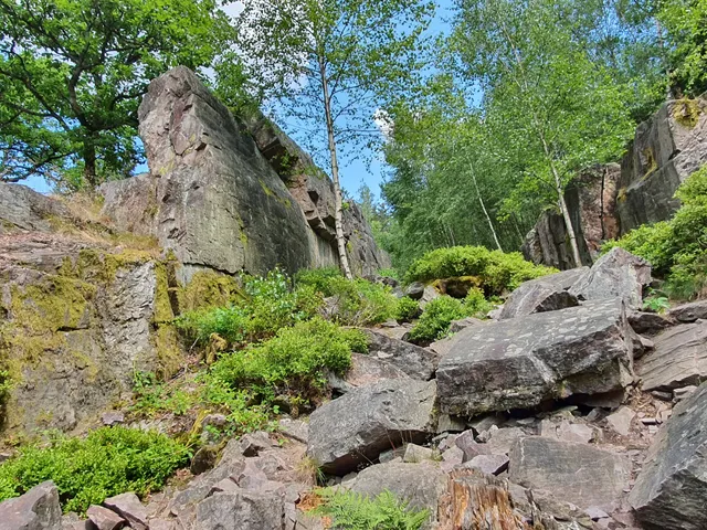 Traumschleife "Felsenweg" (Premiumwanderweg)