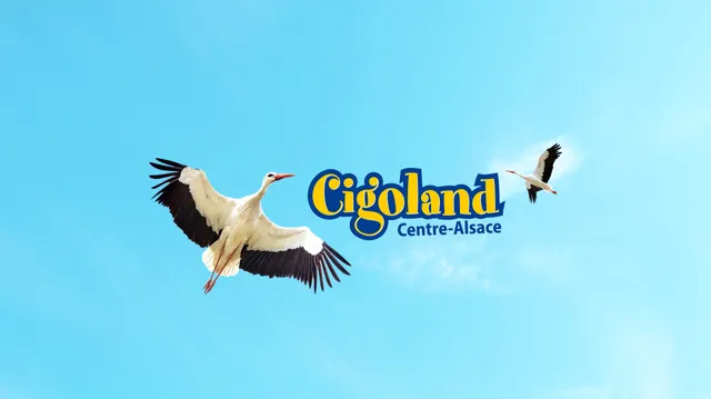 Cigoland Amusement and recreation
