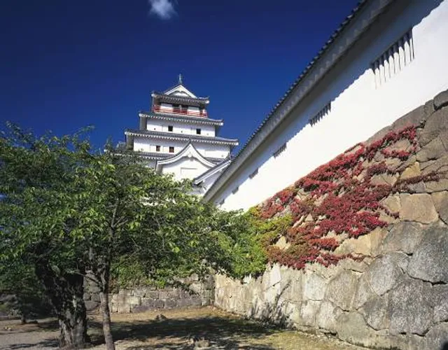 photo-1