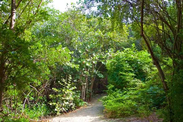 Lantana Nature Preserve