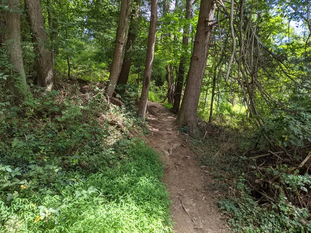 Harmony Hill Nature Area