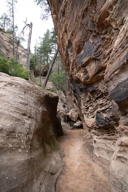 Hidden Canyon Trail
