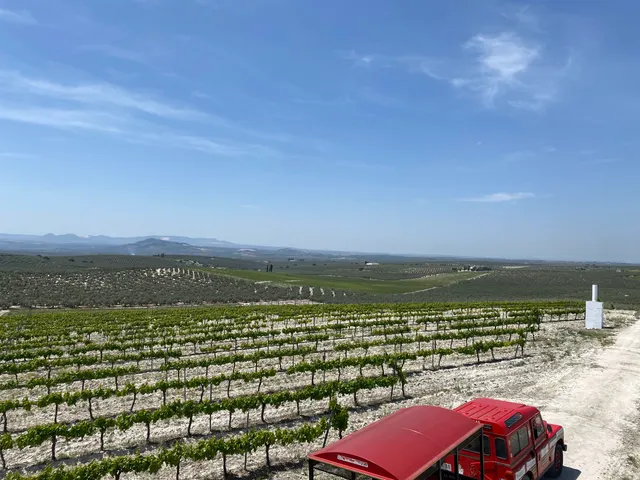 Centro De La Cultura Del Vino