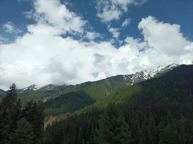 photo-2