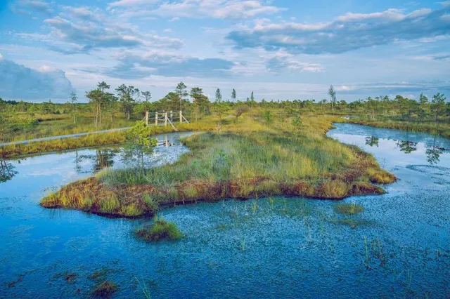 The Swamp Park- Zip Line and ATV Center