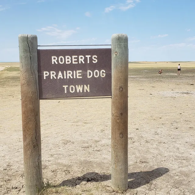 place image