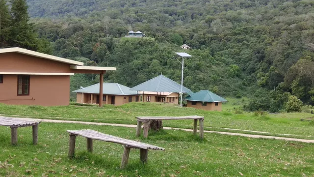 Pampadum Shola National Park