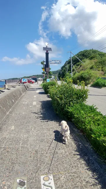 Midorinomichishirube Anaga Park