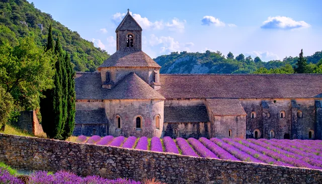 Chambre d'hôte en Provence Les Coquelicots