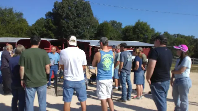 Scotts Hill Cattle Company