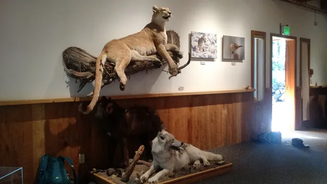photo-2