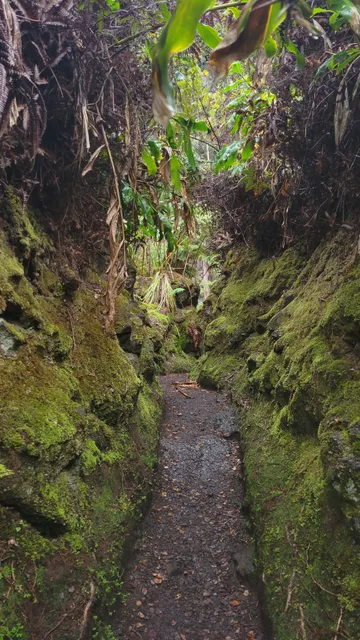 Halema‘uma‘u Trail