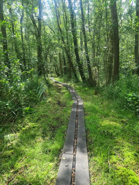 Wandelroute Laarzenpad - Naardermeer (6 km)