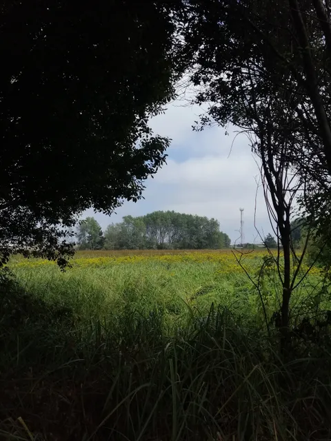 Humedal Urbano Price