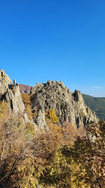 Защитена местност "Винишки камък"