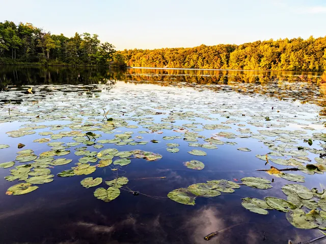Ames Nowell State Park Parking Area
